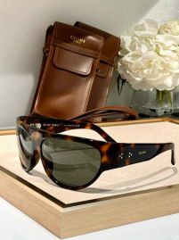 Picture of Celine Sunglasses _SKUfw56253135fw